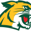 NORTHERN MICHIGAN logo
