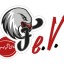 NURNBERG FALCONS BC logo