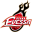 OSAKA EVESSA logo