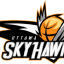 OTTAWA SKYHAWKS logo