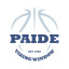 PAIDE VIKING logo