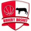 PALLACANESTRO PIACENTINA logo