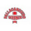 PALLACANESTRO VICENZA logo