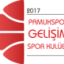 PAMUKSPOR SK logo
