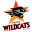 PERTH WILDCATS logo