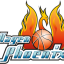 PHOENIX HAGEN logo