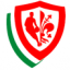 PINO DRAGONS FIRENZE logo