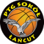 PTG SOKOL LANCUT logo