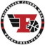 RAIFFEISEN FLYERS WELS logo