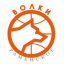 RAMENSKOIE DYUSSH logo