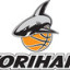 RAUMA BASKET logo