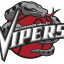 RIO GRANDE VALLEY VIPERS logo
