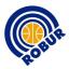 ROBUR SARONNO logo