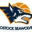 ROSTOCK SEAWOLVES logo