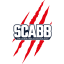 SAINT CHAMOND logo