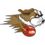 SAINT FRANCIS ILL logo