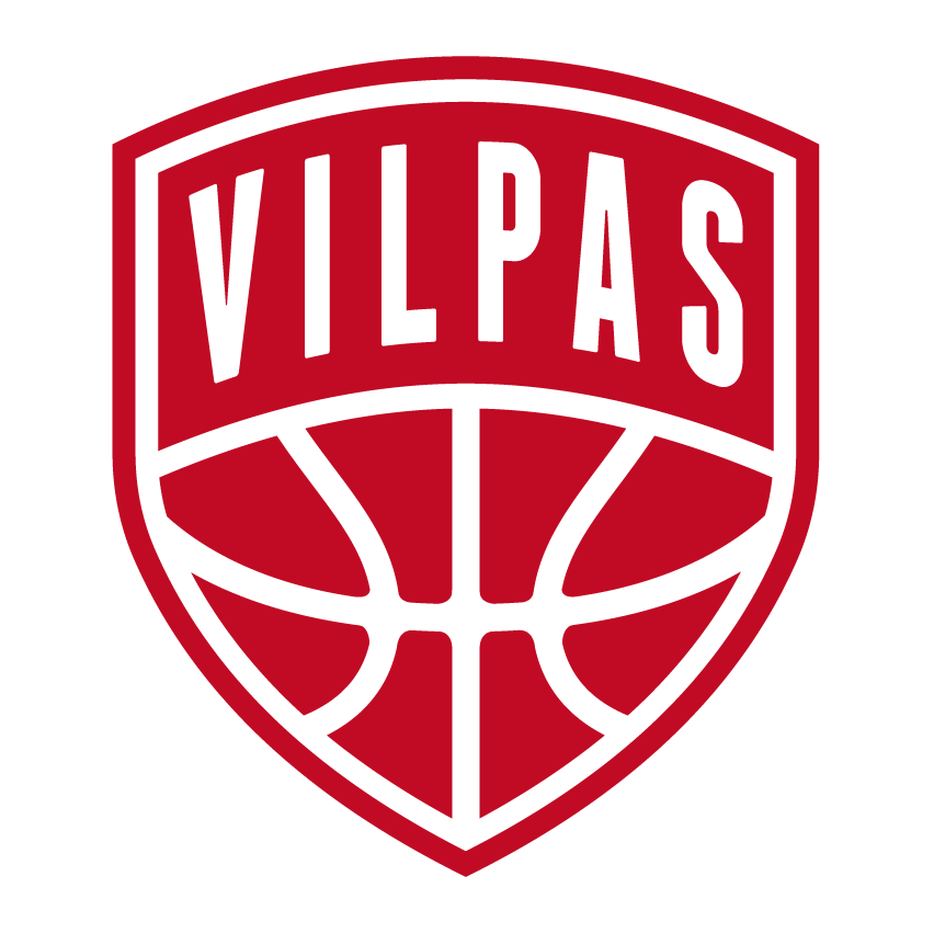 SALON VILPAS VIKINGS Logo