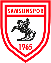 SAMSUNSPOR DSI Logo