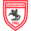 SAMSUNSPOR DSI logo