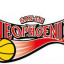 SANEN NEOPHOENIX logo