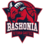 SASKI BASKONIA logo