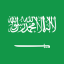SAUDI ARABIA logo