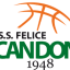 SCANDONE BASKET AVELLINO logo