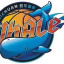 SICHUAN BLUE WHALES logo