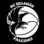 SILLAMAE FALCONS logo