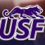 SIOUX FALLS logo