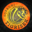 SOPRONI TIGRISEK SE logo