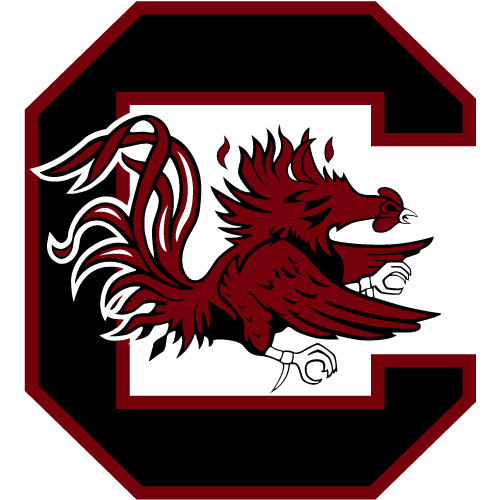 SOUTH CAROLINA Logo