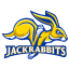 SOUTH DAKOTA STATE logo