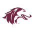 SOUTHERN ILLINOIS logo