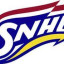 SOUTHERN NEW HAMPSHIRE logo