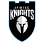 SPINTEX KNIGHTS logo