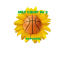 SSHOR 9 logo