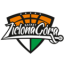 STELMET ZIELONA GORA logo