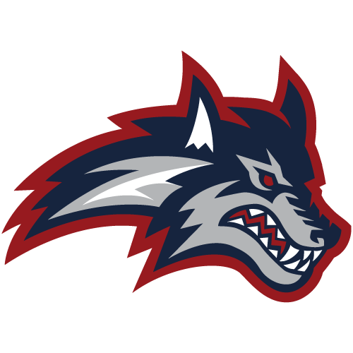 STONY BROOK Logo
