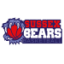 SUSSEX BEARS logo