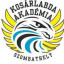 SZOMBATHELYI KA logo