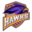 TANGERANG HAWKS logo