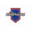 TEAM BIRMINGHAM logo