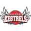 TEAM SOLENT KESTRELS logo