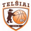 TELSIAI logo
