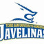 TEXAS A&M KINGSVILLE logo