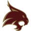 TEXAS STATE logo
