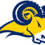 TEXAS WESLEYAN logo