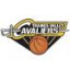 THAMES VALLEY CAVALIERS logo