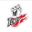 TNT TOWERS logo